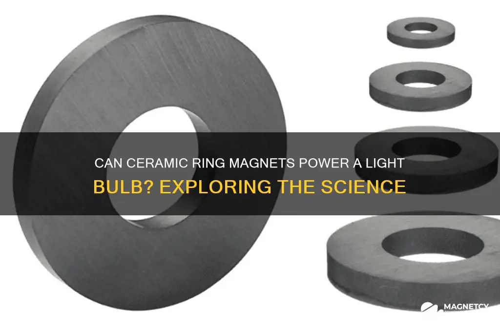 can ceramic ring magnets light a bulb