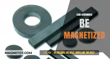 Exploring the Magnetic Potential of Ceramic Materials: Fact or Fiction?