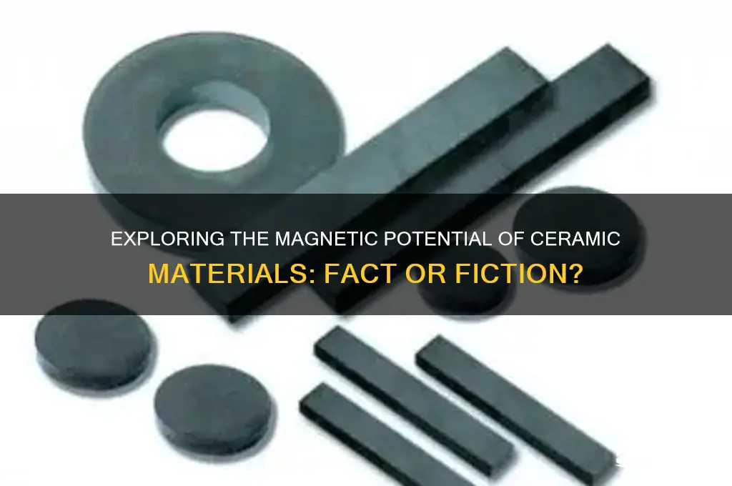 can ceramics be magnetized