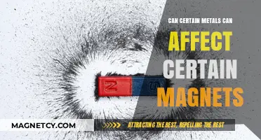 How Specific Metals Influence Magnetism: Unraveling the Magnetic Interaction Mystery