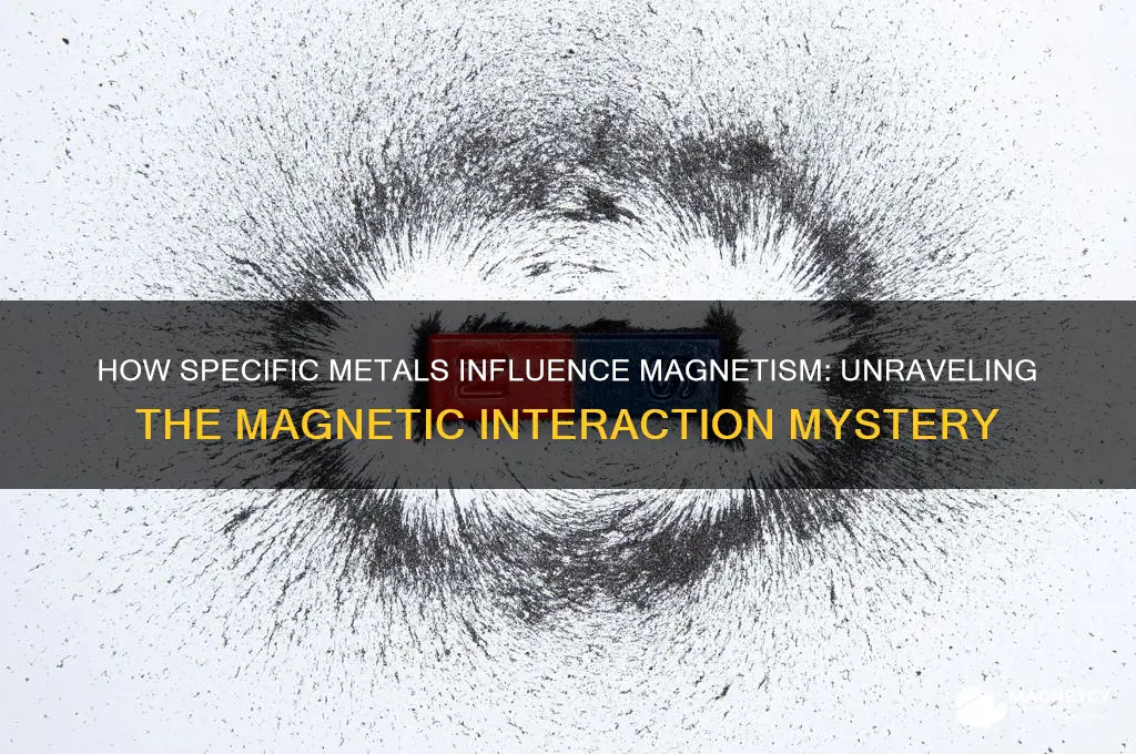 can certain metals can affect certain magnets