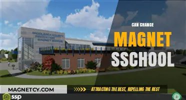 Transforming Education: How Magnet Schools Drive Change and Innovation