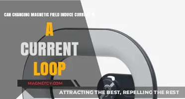 Magnetic Field Changes: Inducing Current in Loops Explained