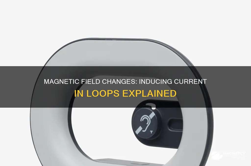 can changing magnetic field induce current in a current loop