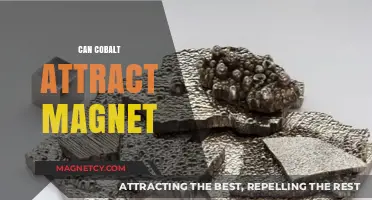 Does Cobalt Attract Magnets? Exploring Magnetic Properties and Applications