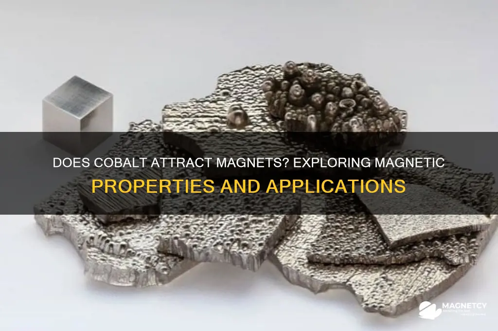 can cobalt attract magnet
