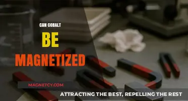 Can Cobalt Be Magnetized? Exploring Its Magnetic Properties and Applications
