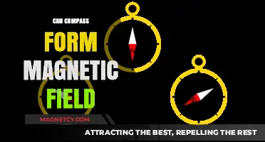 Can a Compass Generate Its Own Magnetic Field? Exploring the Science