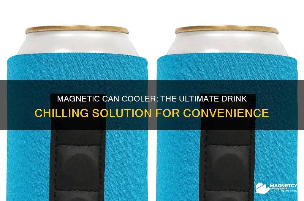 can cooler with magnet