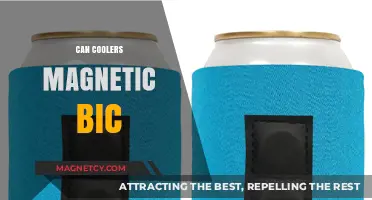 Magnetic Can Coolers: The Ultimate Bic Accessory for Outdoor Fun
