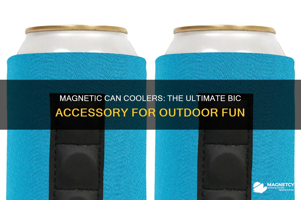 can coolers magnetic bic