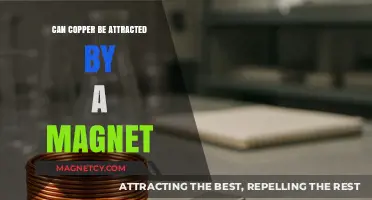 Is Copper Magnetic? Exploring Its Attraction to Magnets