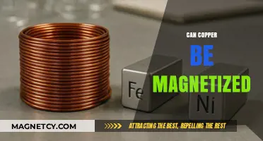 Can Copper Be Magnetized? Exploring Its Magnetic Properties and Limitations
