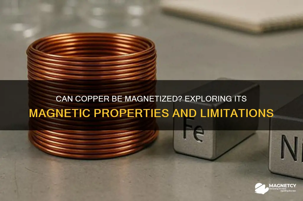 can copper be magnetized