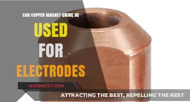 Copper Magnet Wire as Electrodes: Feasibility and Applications Explored