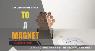 Does a Copper Penny Stick to Magnets? Unraveling the Myth