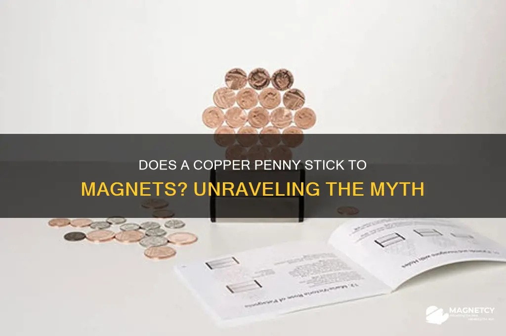 can copper penny attatch to a magnet