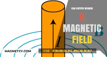 Copper's Impact: Does It Weaken Magnetic Fields? Exploring the Science