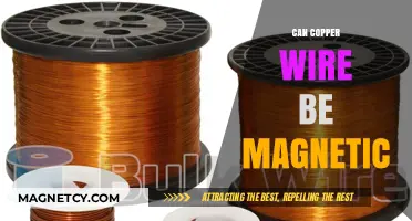 Is Copper Wire Magnetic? Unraveling the Truth Behind the Myth