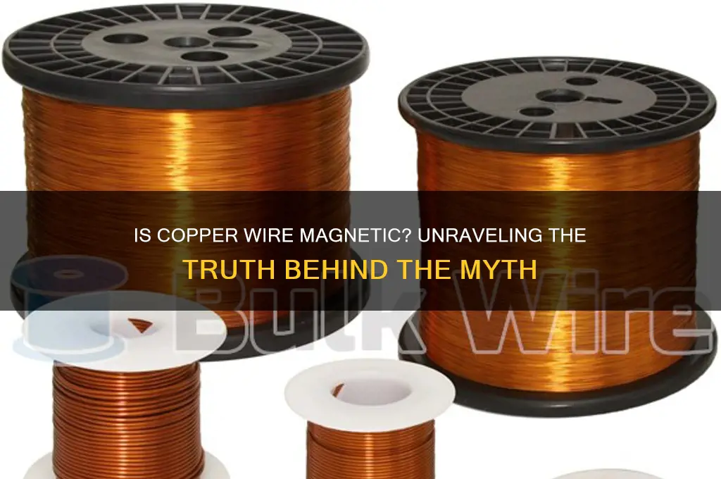 can copper wire be magnetic
