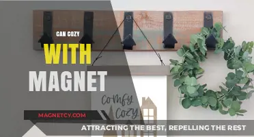 Cozy Innovations: Exploring Magnetic Comfort in Modern Home Design