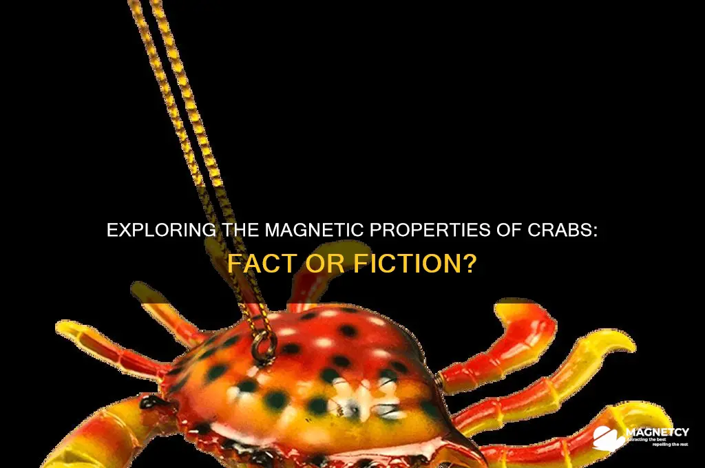 can craps die be magnetic