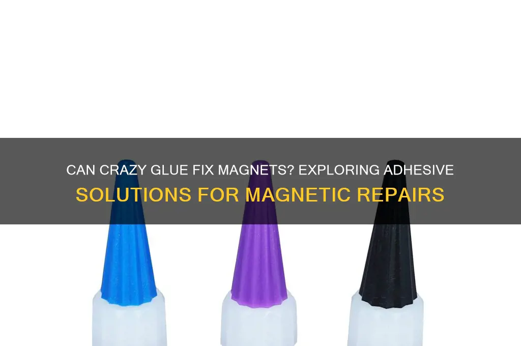 can crazy glue fix magnets