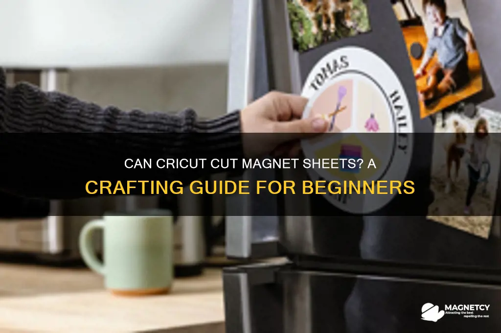 can cricut cut magnet sheets