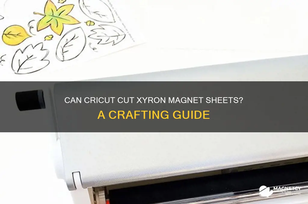 can cricut cut xyron magnet