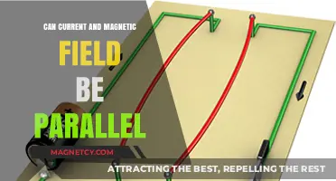 Can Current and Magnetic Fields Align Parallel? Exploring the Physics