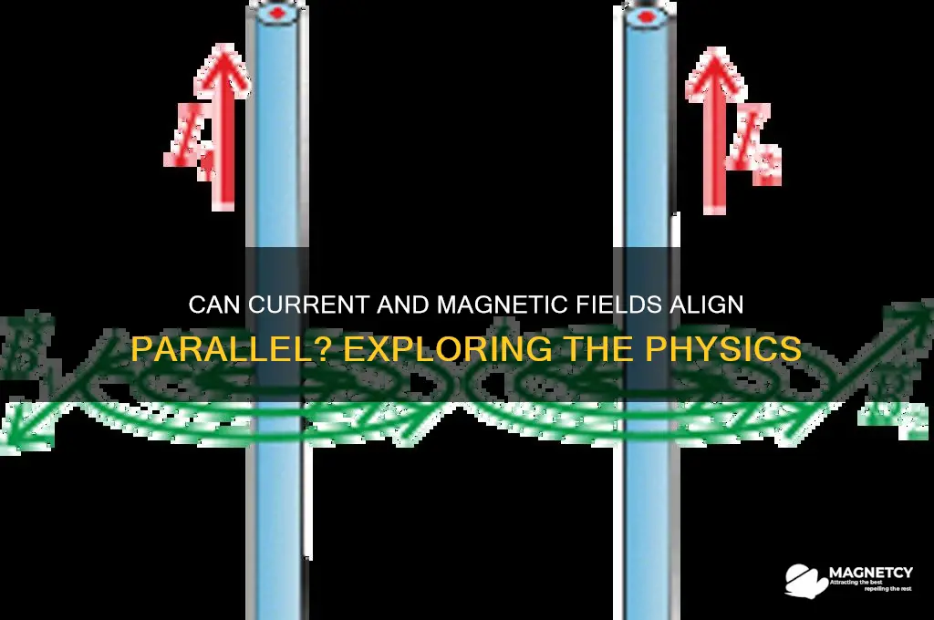can current and magnetic field be parallel