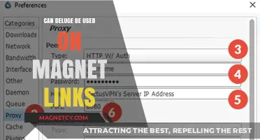 Using Deluge with Magnet Links: A Comprehensive Guide for Users
