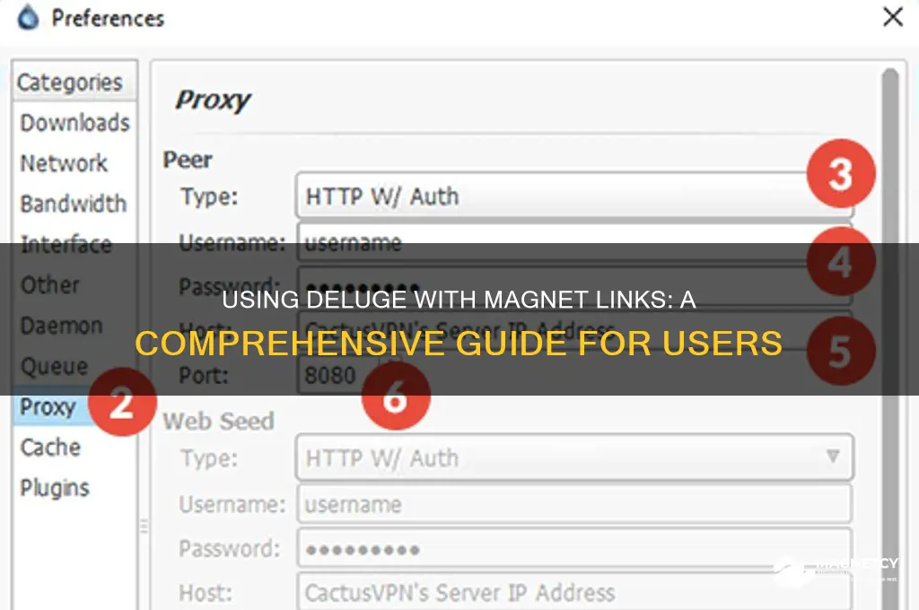 can deluge be used on magnet links