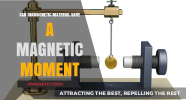 Can Diamagnetic Materials Possess a Magnetic Moment? Exploring the Science