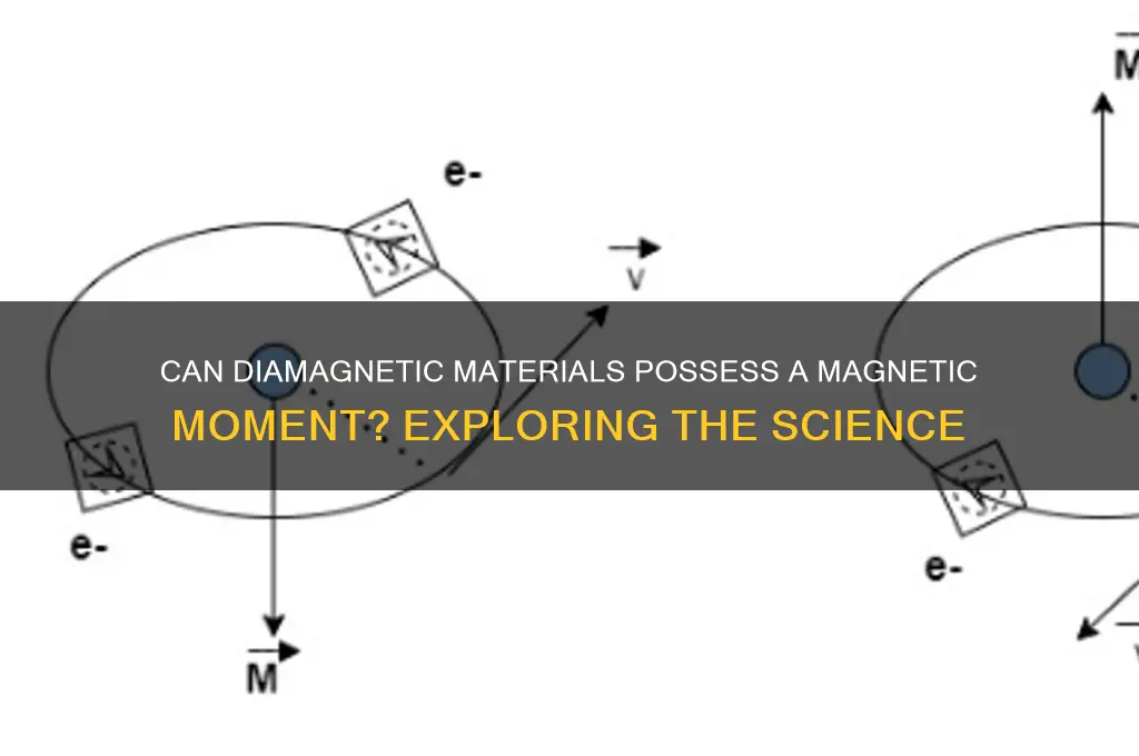 can diamagnetic material have a magnetic moment
