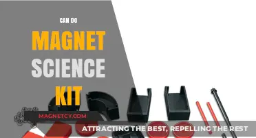 Exploring Magnetic Wonders: Hands-On Learning with the Can Do Magnet Science Kit