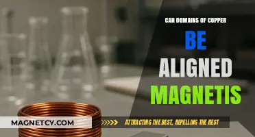 Exploring Copper's Magnetic Potential: Aligning Domains for Enhanced Properties