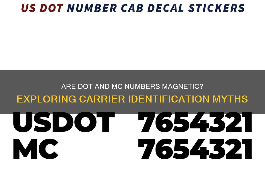 can dot and mc numbers be magnetic