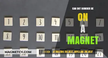 Can DOT Numbers Be Displayed on Magnets? A Comprehensive Guide