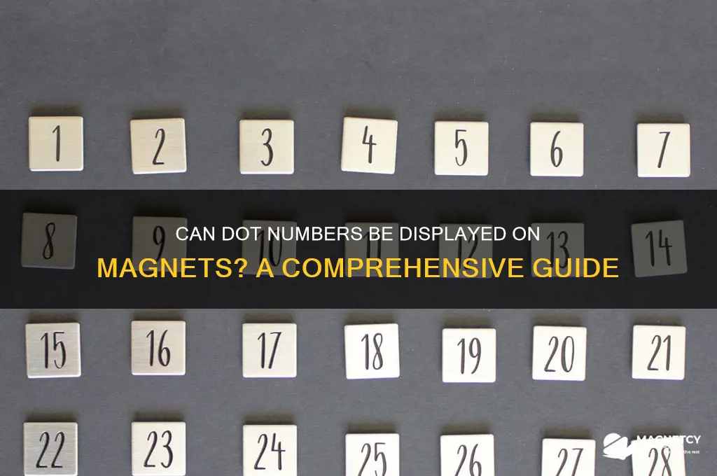 can dot number be on a magnet