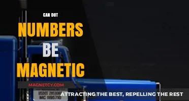 Are DOT Numbers Magnetic? Exploring the Science Behind Tire Markings