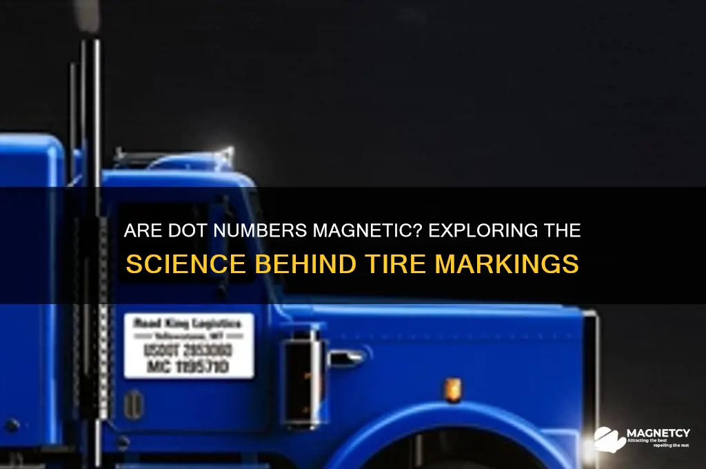 can dot numbers be magnetic