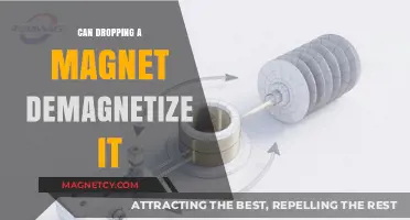 Does Dropping a Magnet Weaken Its Magnetic Field?