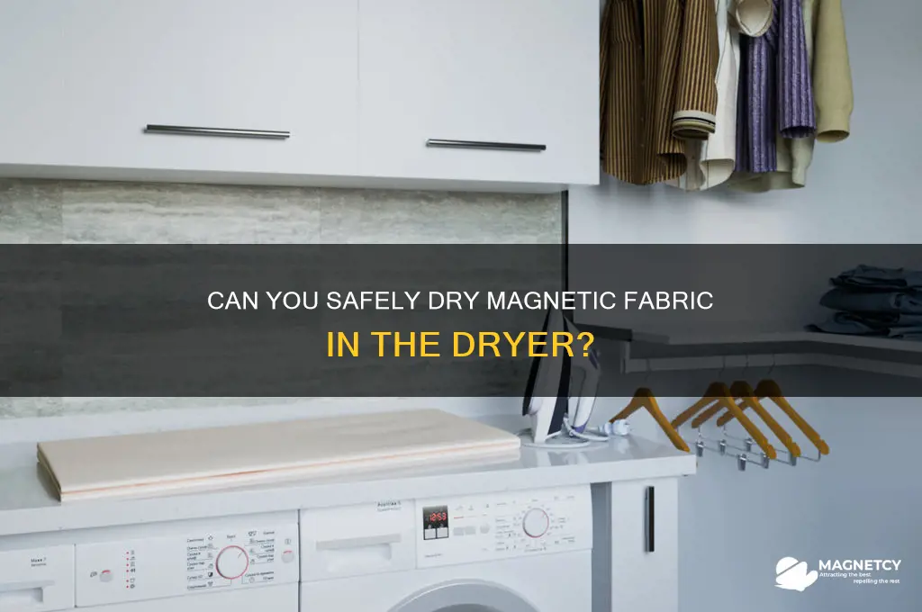 can dry a fabric that has magnets in the dryer