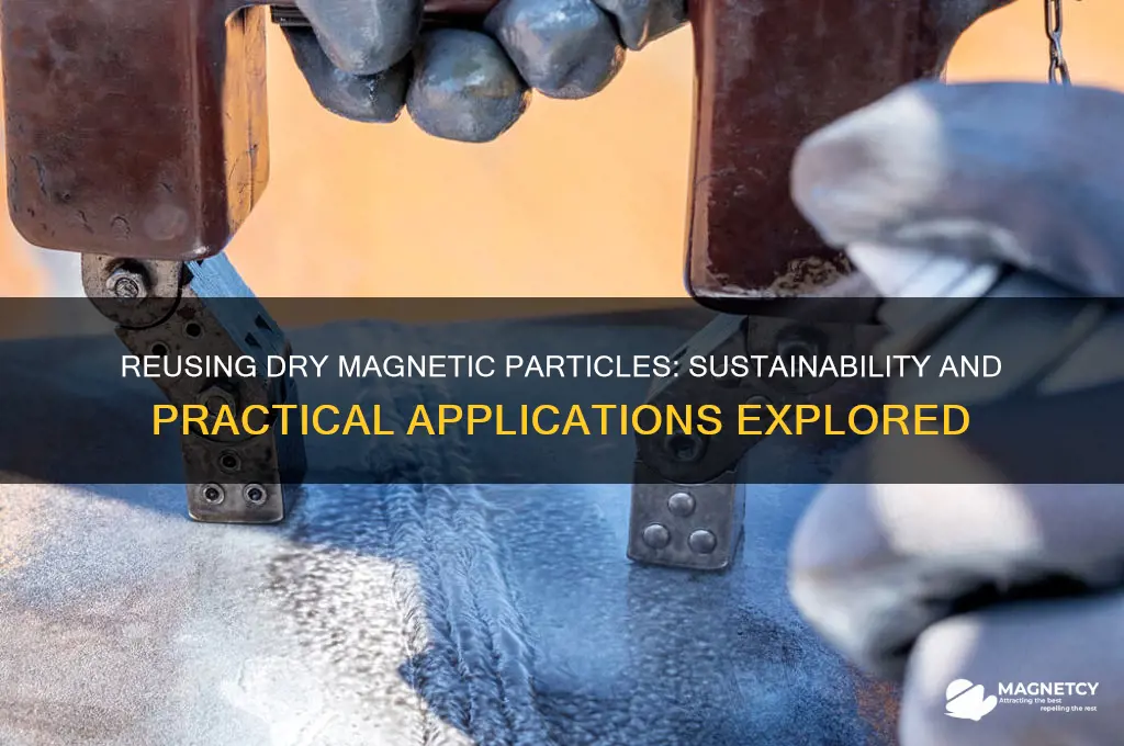 can dry magnetic particles be reused