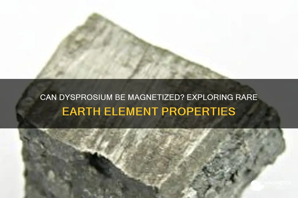 can dysprosium be magnetized