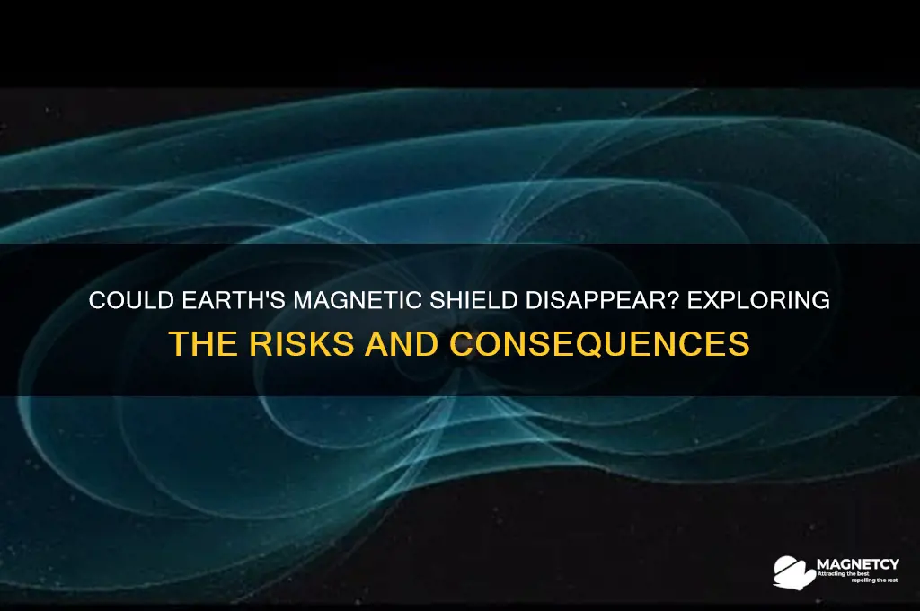 can earth lose its magnetic field