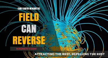 Earth's Magnetic Field Reversal: What It Means for Our Planet