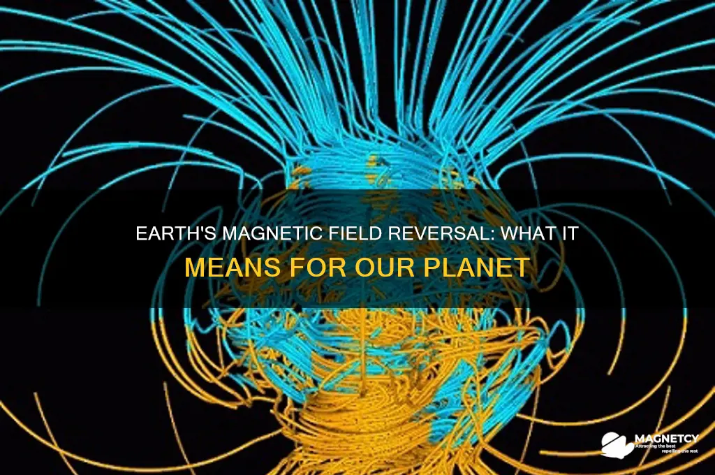 can earth magnetic field can reverse