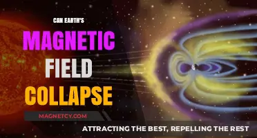 Earth's Magnetic Field Collapse: Potential Impacts and Scientific Insights